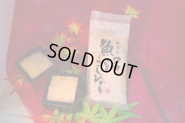 画像1: 新潟南魚沼産こしひかり300ｇ (1)